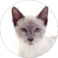 Patricia Wallace Avatar