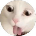 Cat Avatar