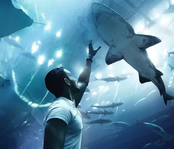 dubai aqurium