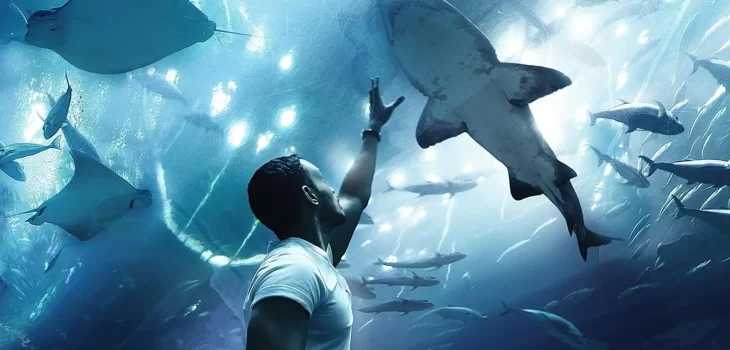 dubai aqurium