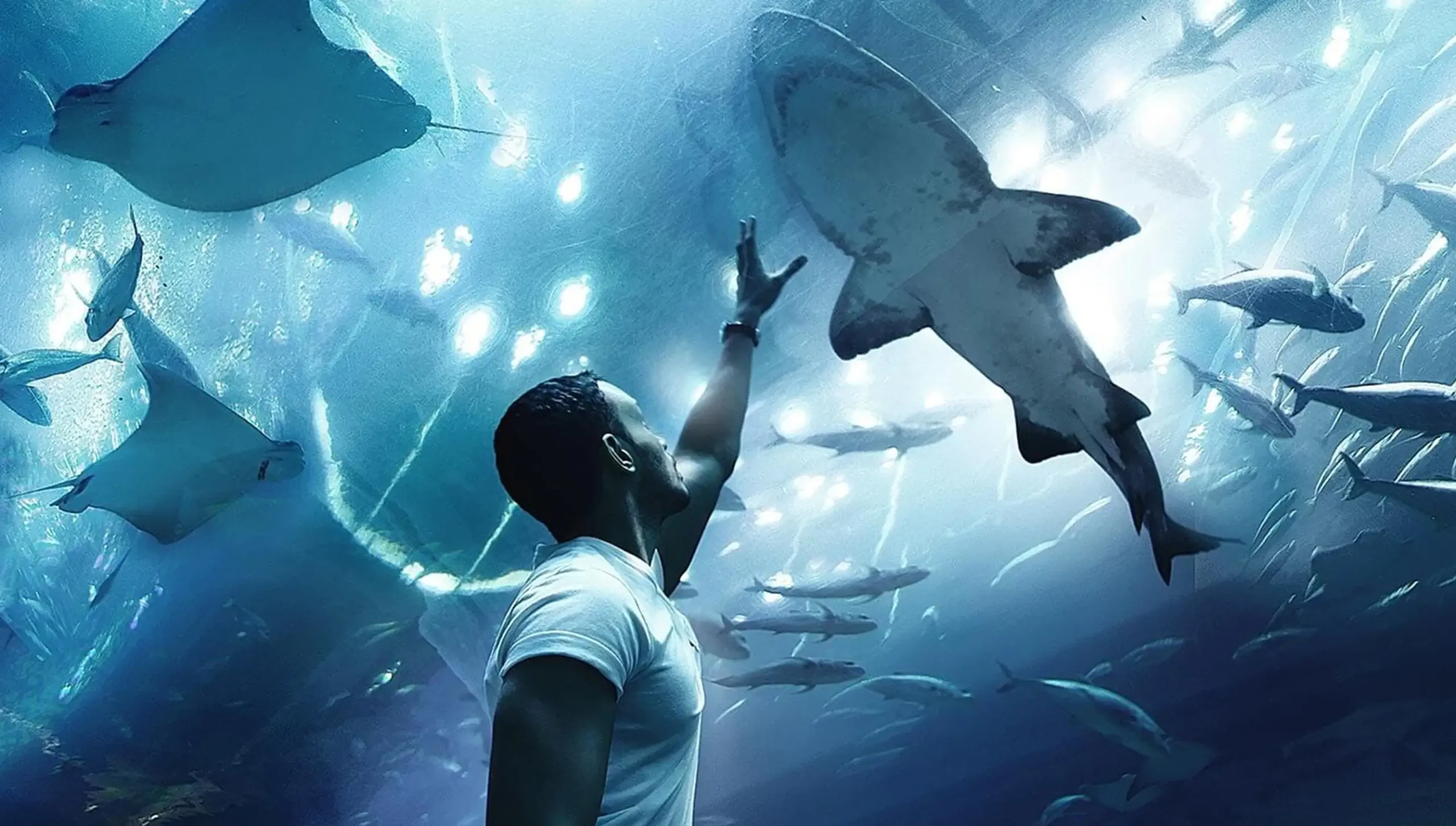 dubai aqurium