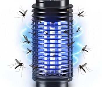 mosquito
