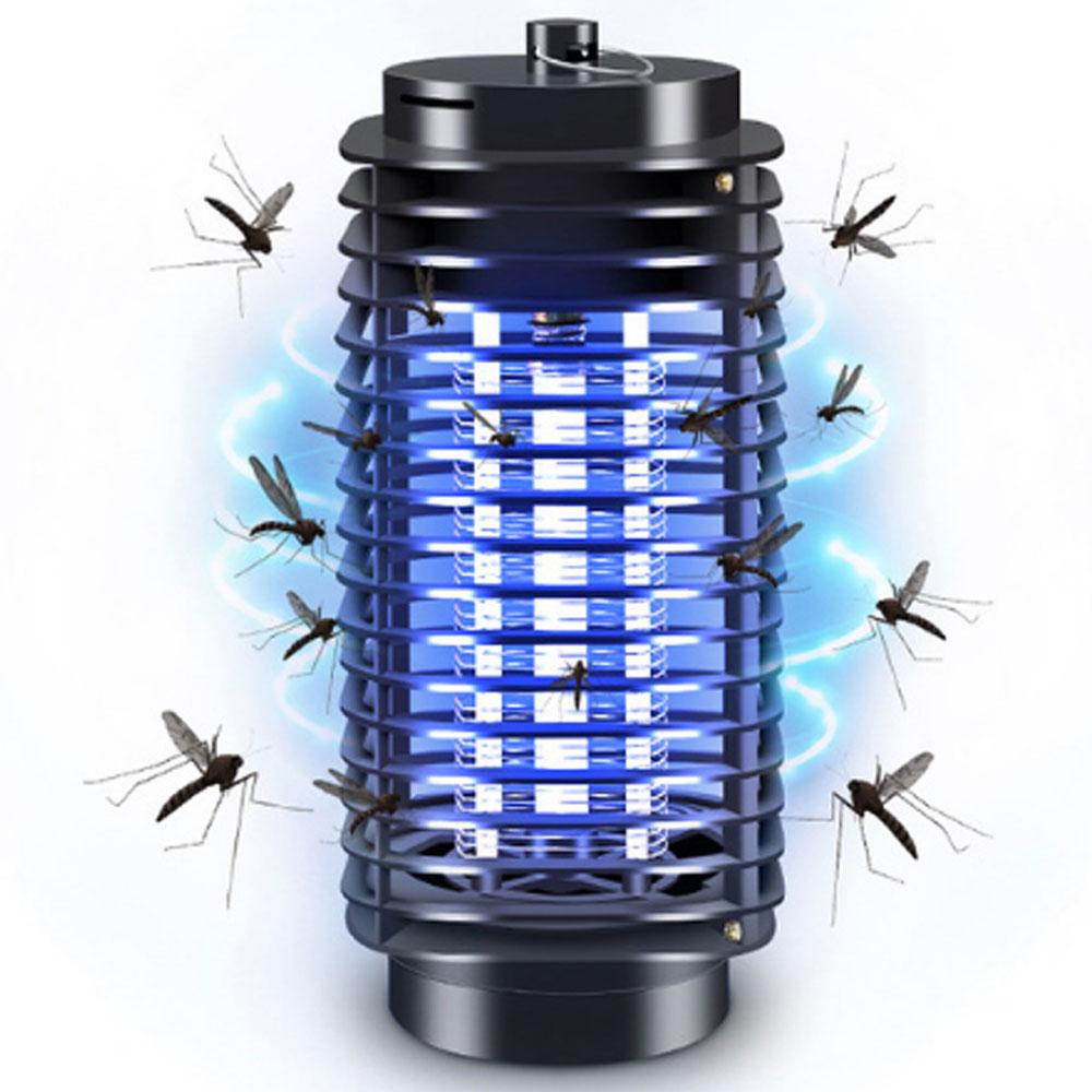 mosquito