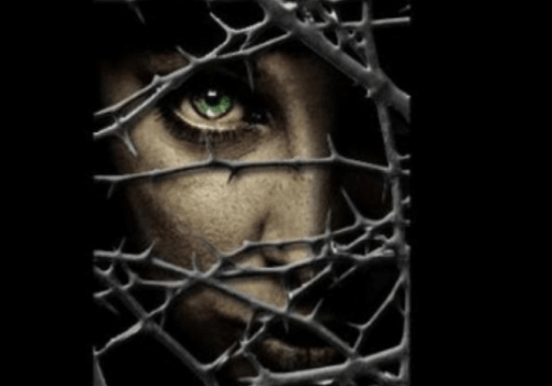 Blackthorns Of Their Own by Rick Lee