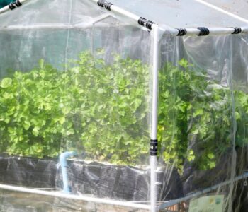 6 mil greenhouse plastic