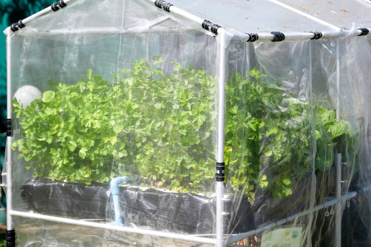 6 mil greenhouse plastic