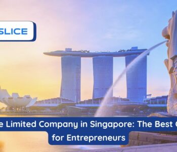 Private Limited Company in Singapore The Best Option for Entrepreneurs