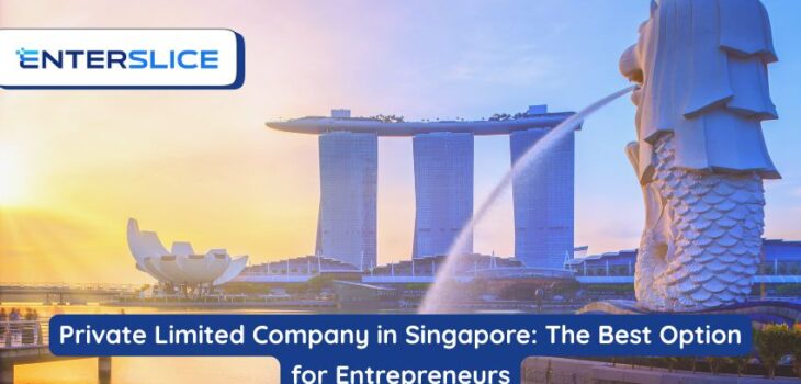 Private Limited Company in Singapore The Best Option for Entrepreneurs