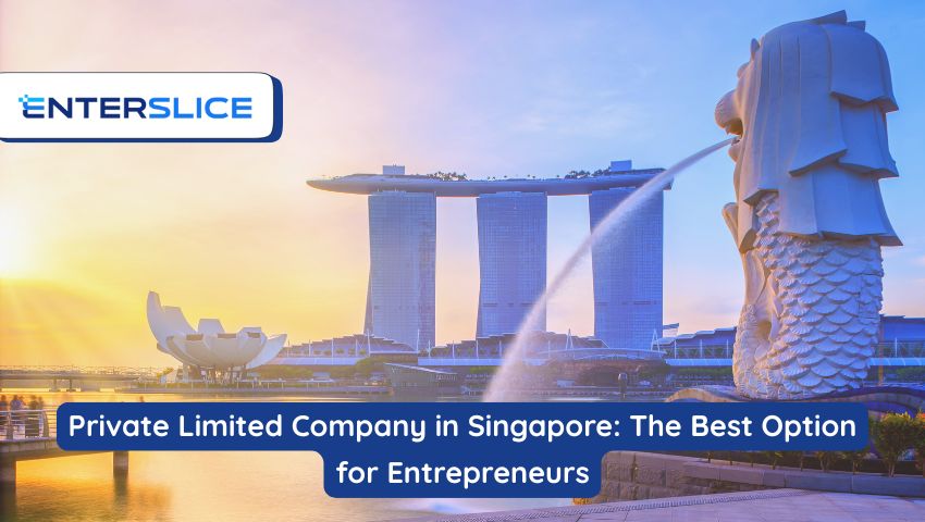 Private Limited Company in Singapore The Best Option for Entrepreneurs