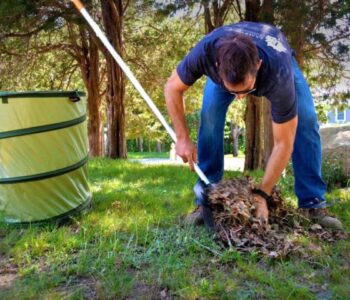 Yard waste removal services