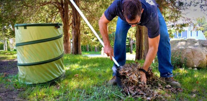 Yard waste removal services