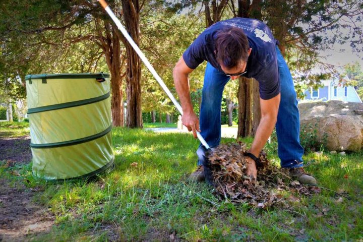 Yard waste removal services